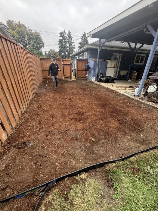 Phase 1 &mdash; the strip cleared back to bare soil