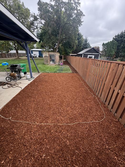 Phase 3 &mdash; finished bark, edge to edge