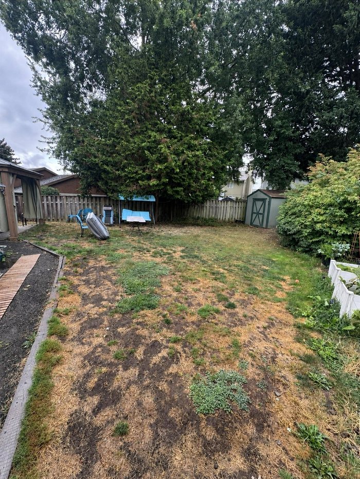 Before — Patchy, thinned-out lawn stripped back — new sod laid, rolled and rooted in