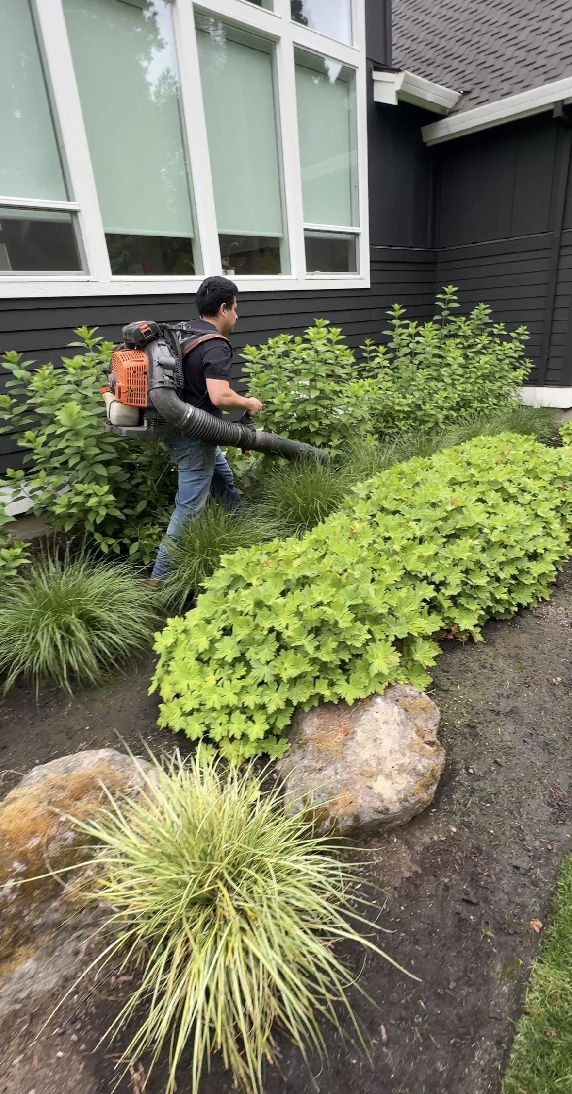 Lobos maintenance blowing debris from garden beds